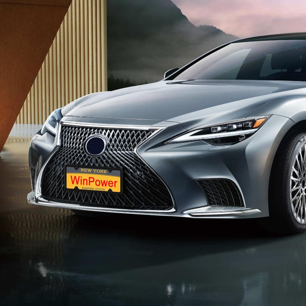 WinPower 2pcs Stainless Steel License Plate Frames Rustproof Holder Fit Standard US/CA License Plate 4 Holes, Black