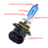 100W HB3 9005 Halogen Bulbs