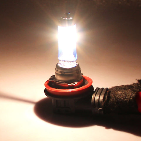 H16 Halogen Bulbs Warm White