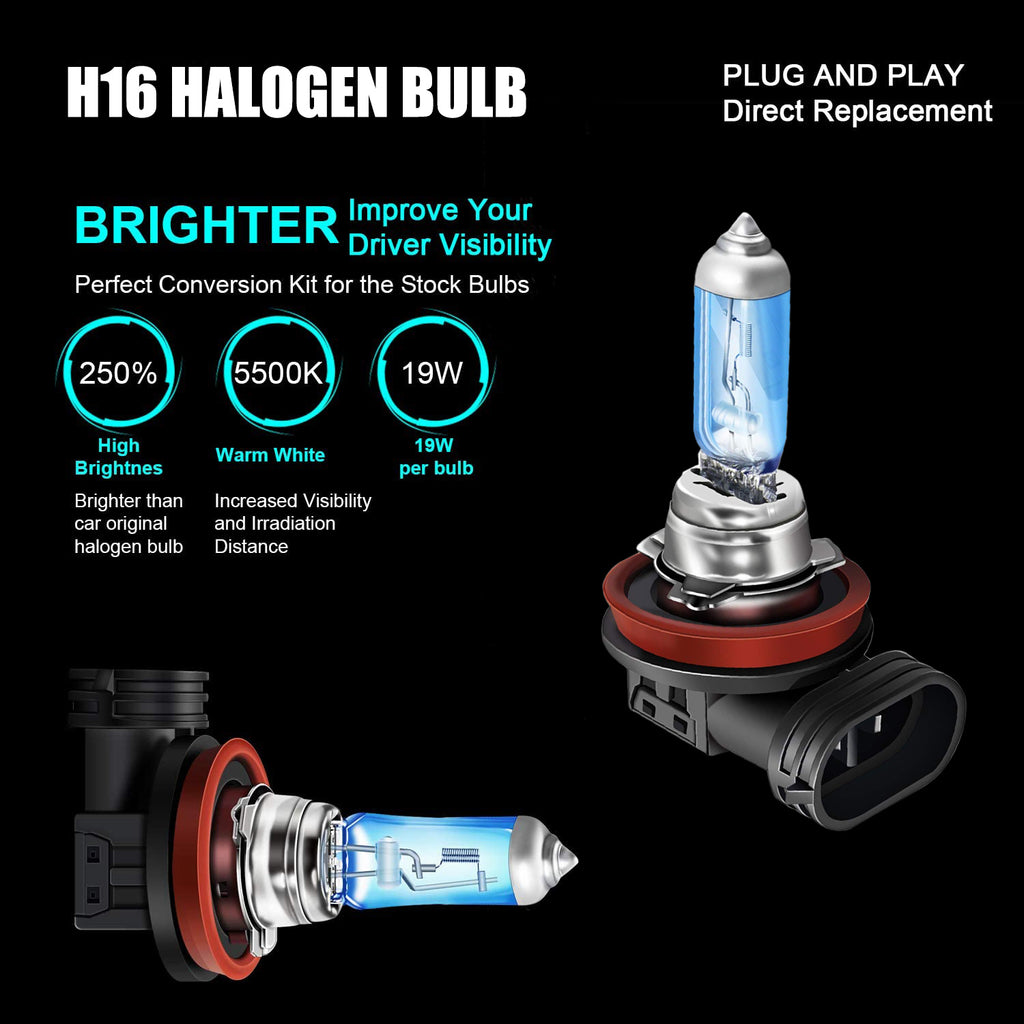 H16 Halogen Bulb